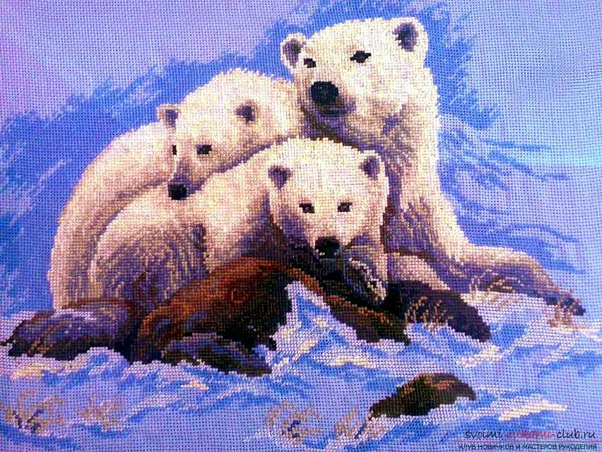 Вышивка «Белые медведи». Фото №1
