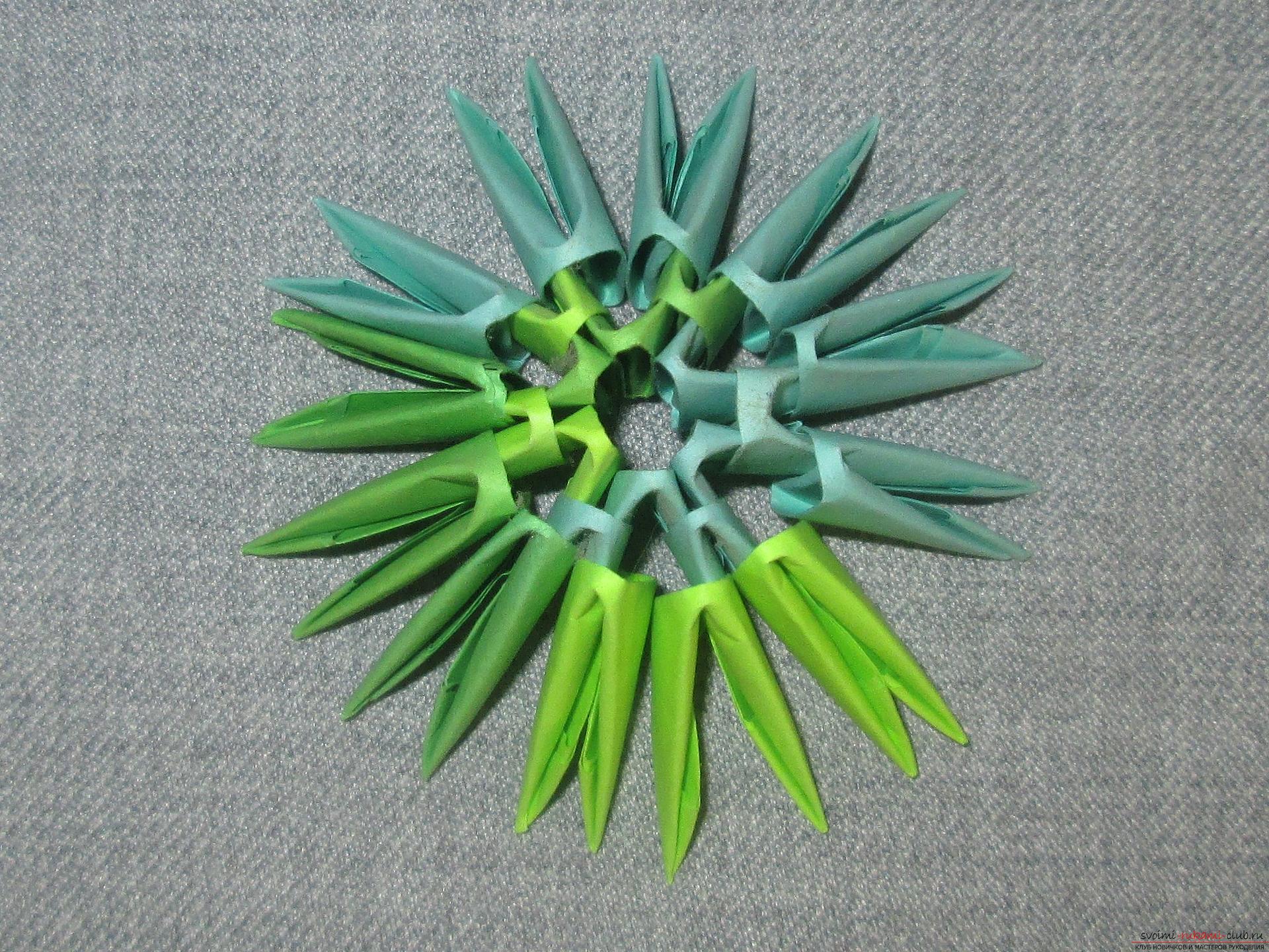 Данный подробный мастер-класс модульного оригами с пошаговыми фото содержит схему сборки березы из бумаги.. Фото №14