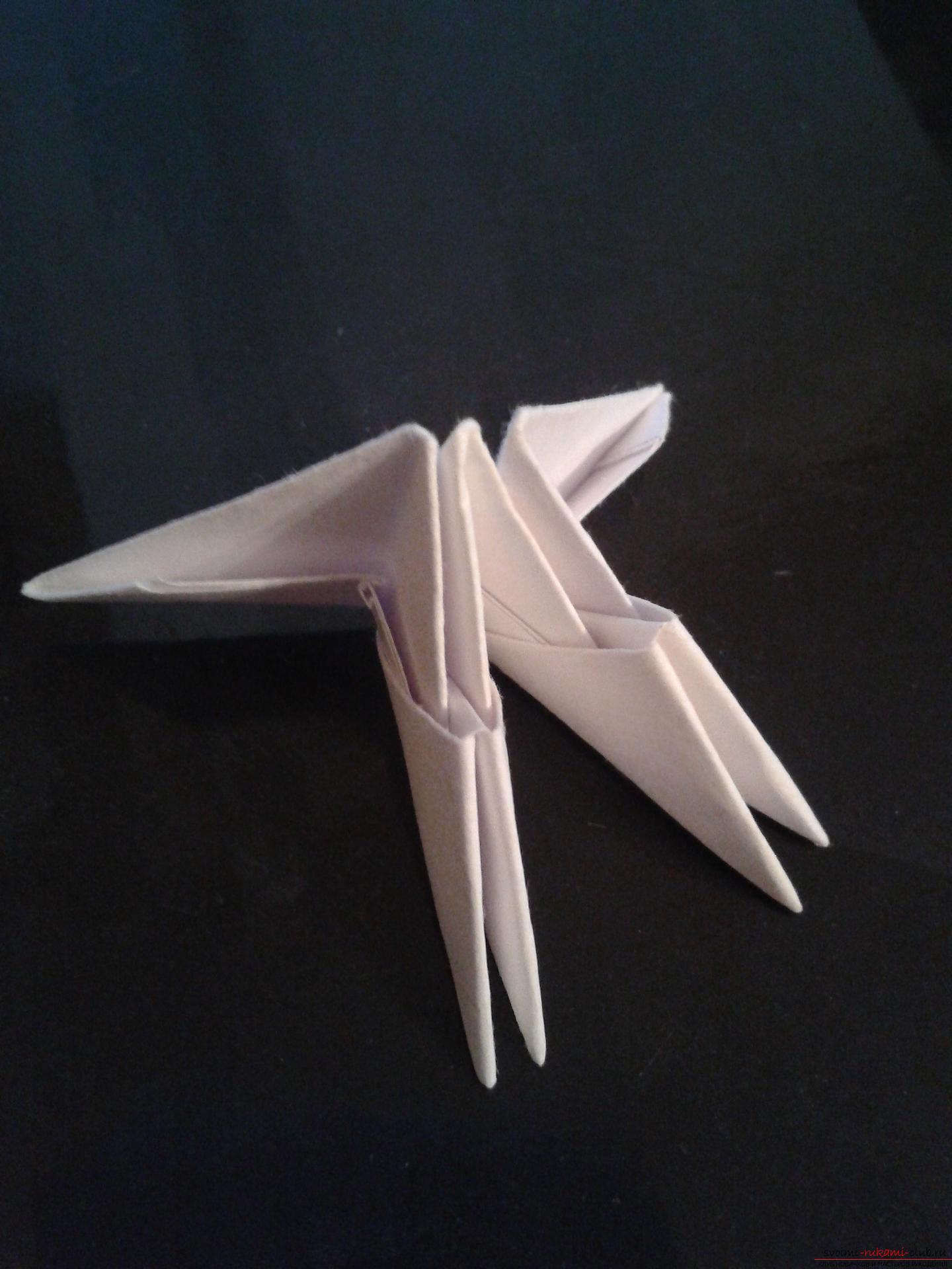 Данный мастер-класс содержит подробную схему и описание модульного оригами - лебедя из модулей.. Фото №22