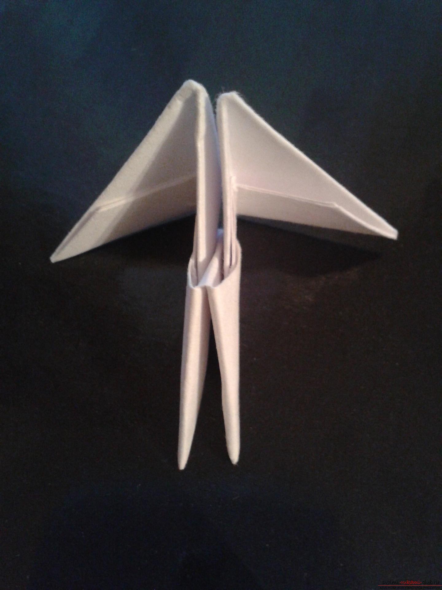 Данный мастер-класс содержит подробную схему и описание модульного оригами - лебедя из модулей.. Фото №18