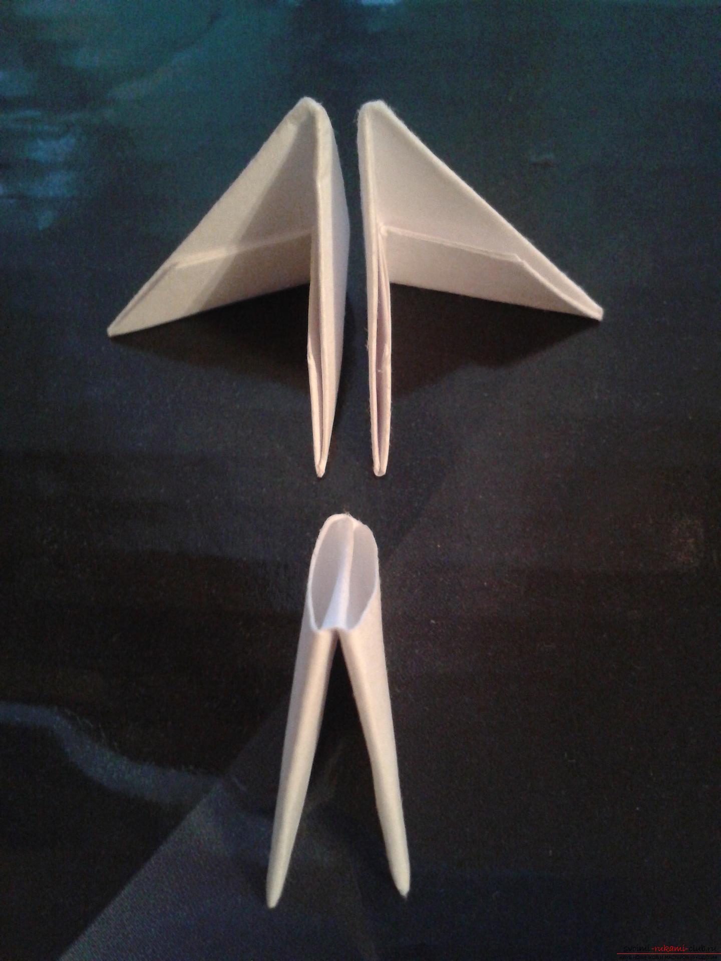 Данный мастер-класс содержит подробную схему и описание модульного оригами - лебедя из модулей.. Фото №17