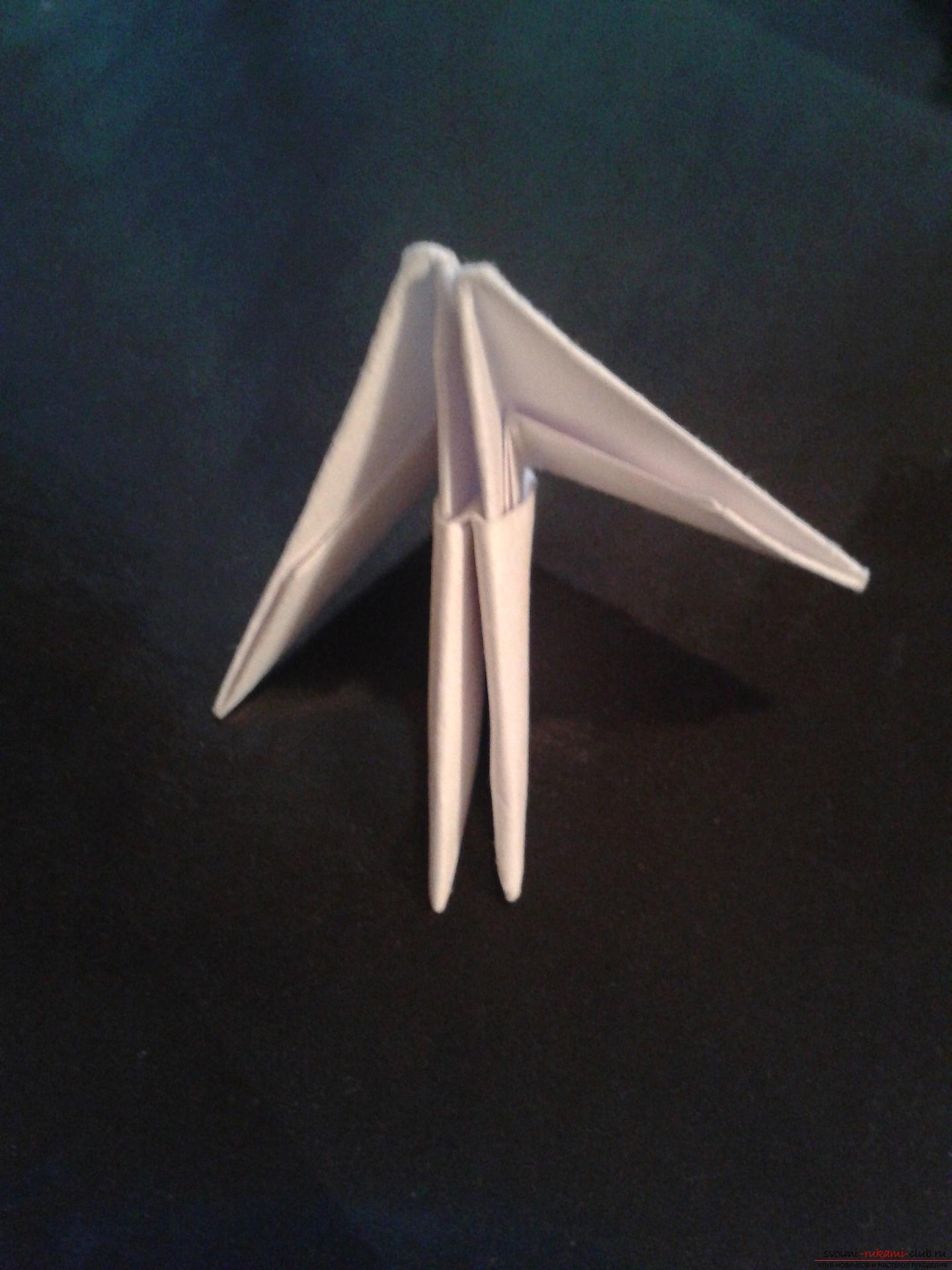 Данный мастер-класс содержит подробную схему и описание модульного оригами - лебедя из модулей.. Фото №19
