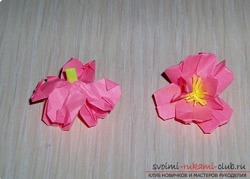 Цветы сакуры в технике оригами. Фото №12