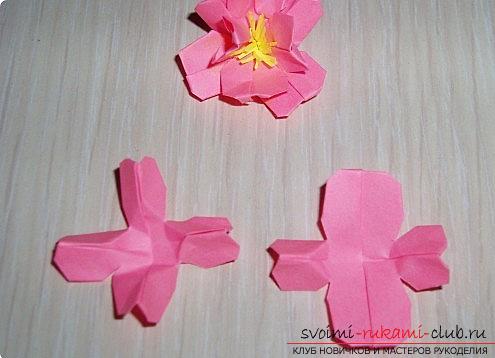 Цветы сакуры в технике оригами. Фото №8