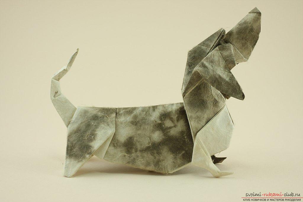 Схемы сложения фигурок собак в технике оригами. Фото №3