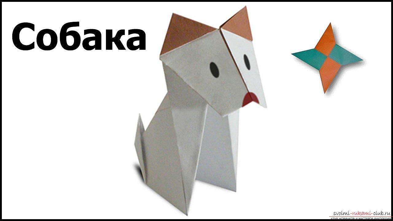 Схемы сложения фигурок собак в технике оригами. Фото №1