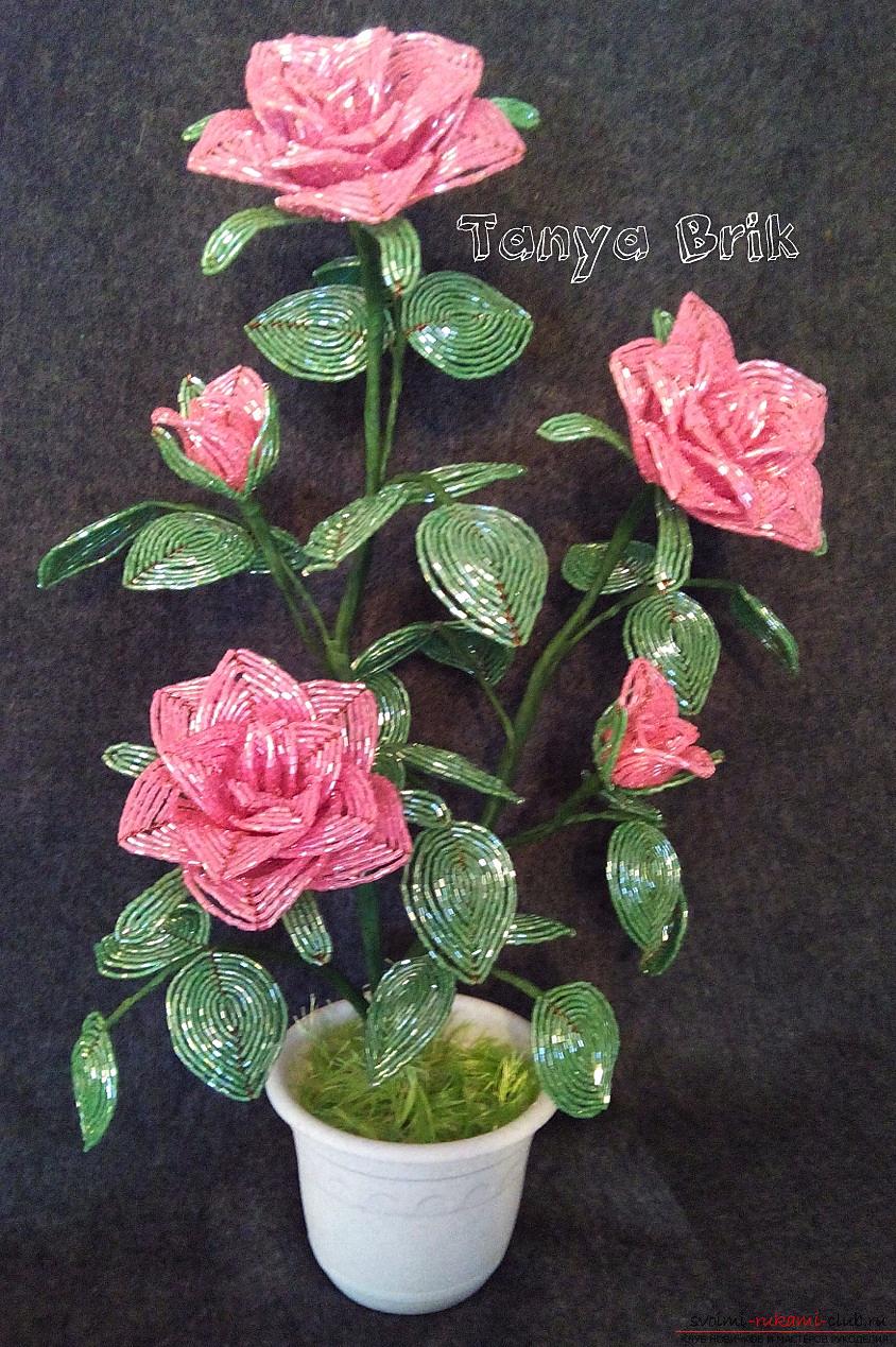 Шикарный букет роз, сделанный автором своими руками из бисера. Фото №1
