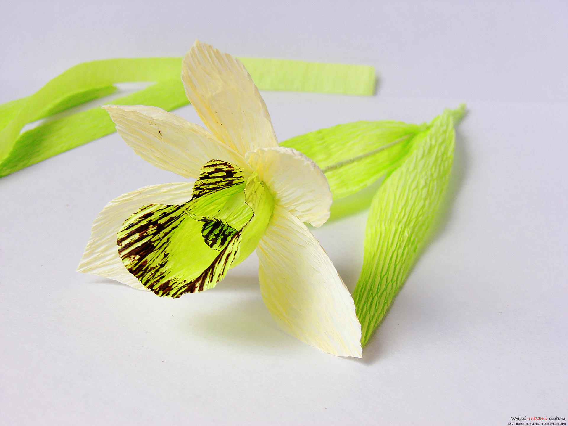 Этот мастер-класс расскажет как сделать своими руками из гофрированной бумаги прекрасную орхидею.. Фото №34