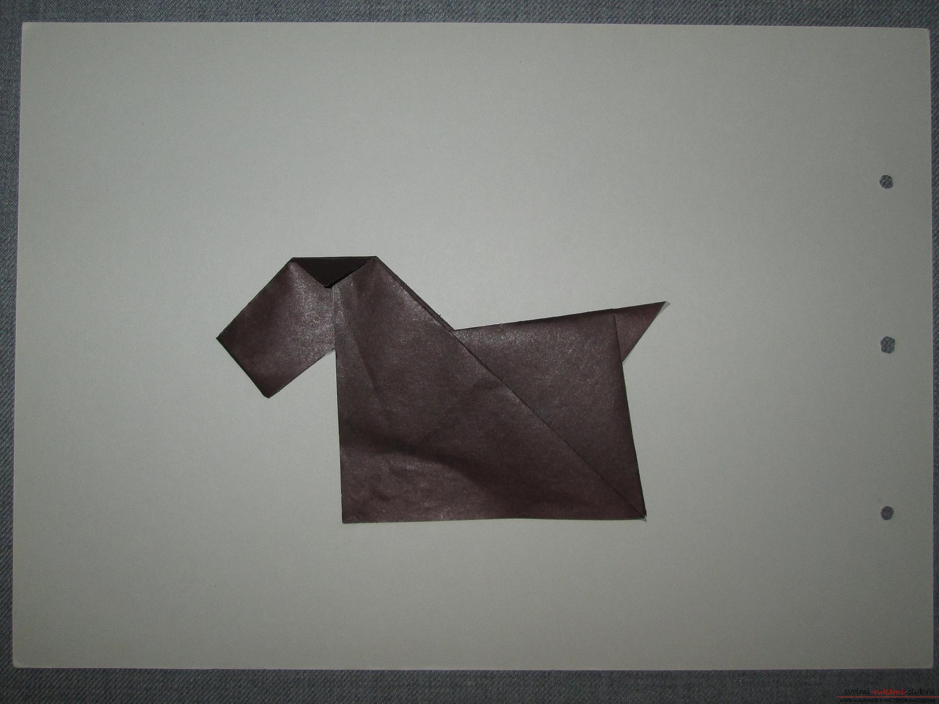 Этот подробный мастер-класс с фото и описание научит как сделать оригами для начинающих - оригами-собаку из бумаги.. Фото №15