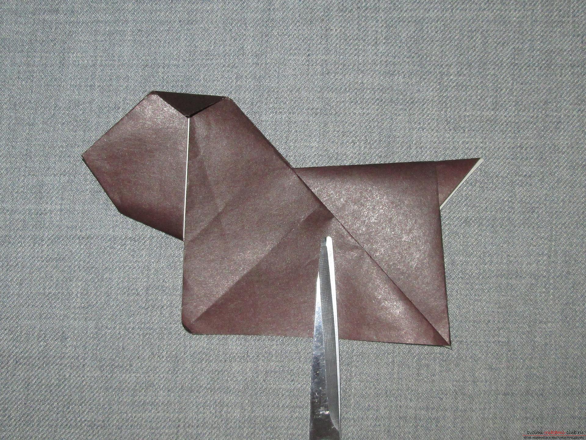 Этот подробный мастер-класс с фото и описание научит как сделать оригами для начинающих - оригами-собаку из бумаги.. Фото №13