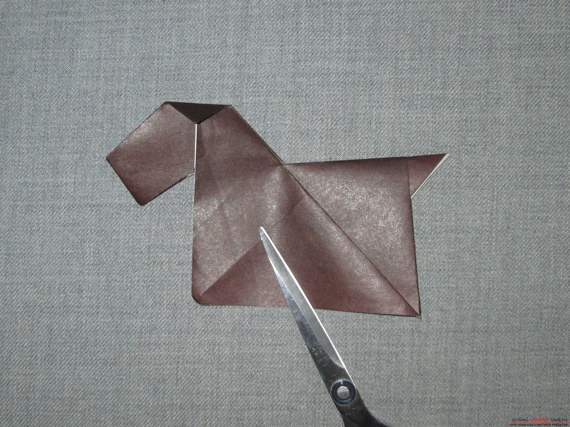 Этот подробный мастер-класс с фото и описание научит как сделать оригами для начинающих - оригами-собаку из бумаги.. Фото №14