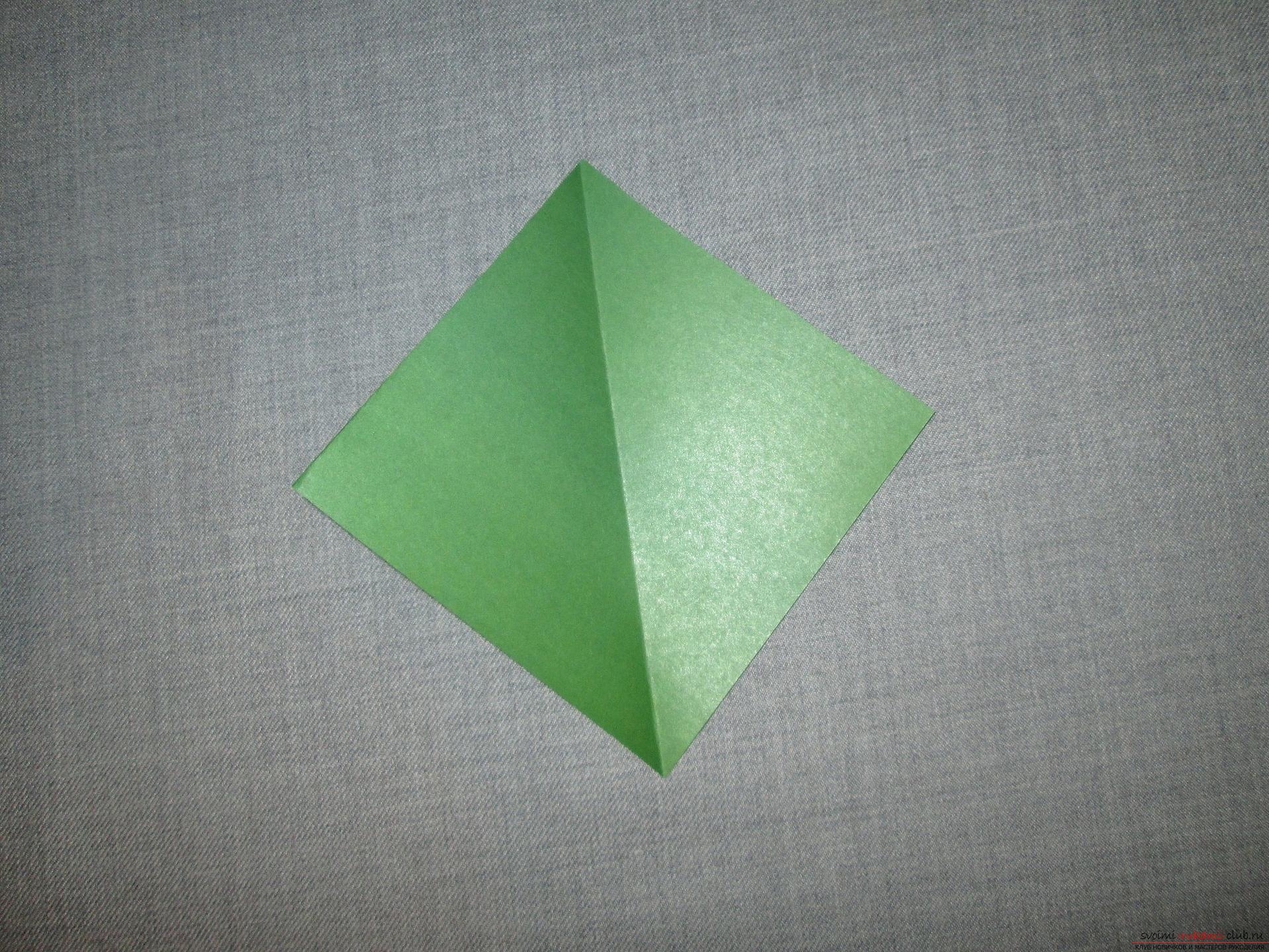 Этот подробный мастер-класс оригами из бумаги для детей 5 лет научит как сделать своими руками открытку с тюльпанами.. Фото №8