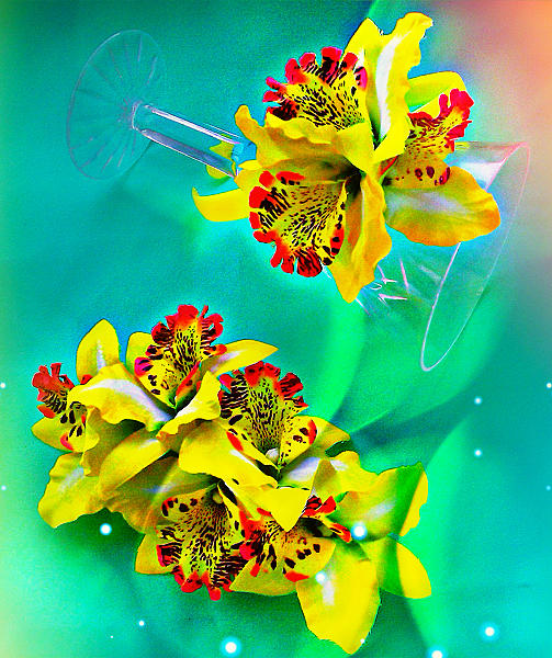 Набор Орхидеи. Фото 2