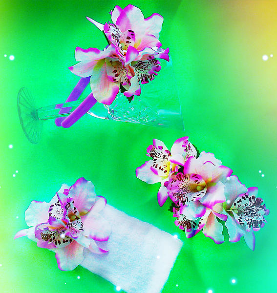 Набор Орхидеи. Фото 8