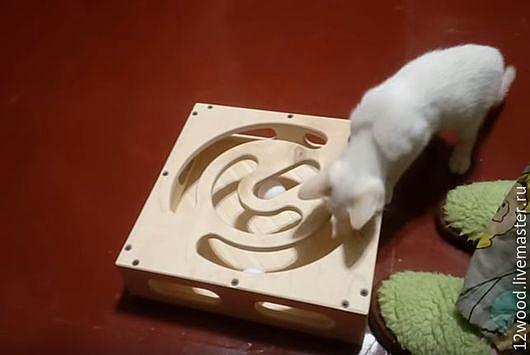 Игрушка для кота. Аксессуары для кошек - ручной работы. Фото 4