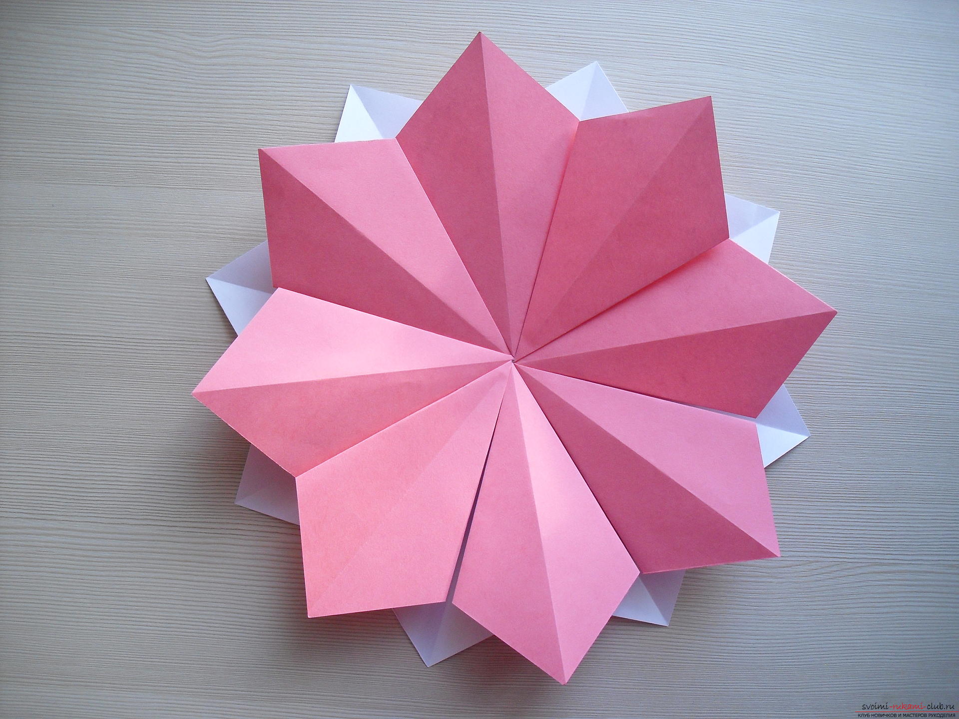 Этот мастер-класс научит как сделать цветок-оригами из бумаги.. Фото №12