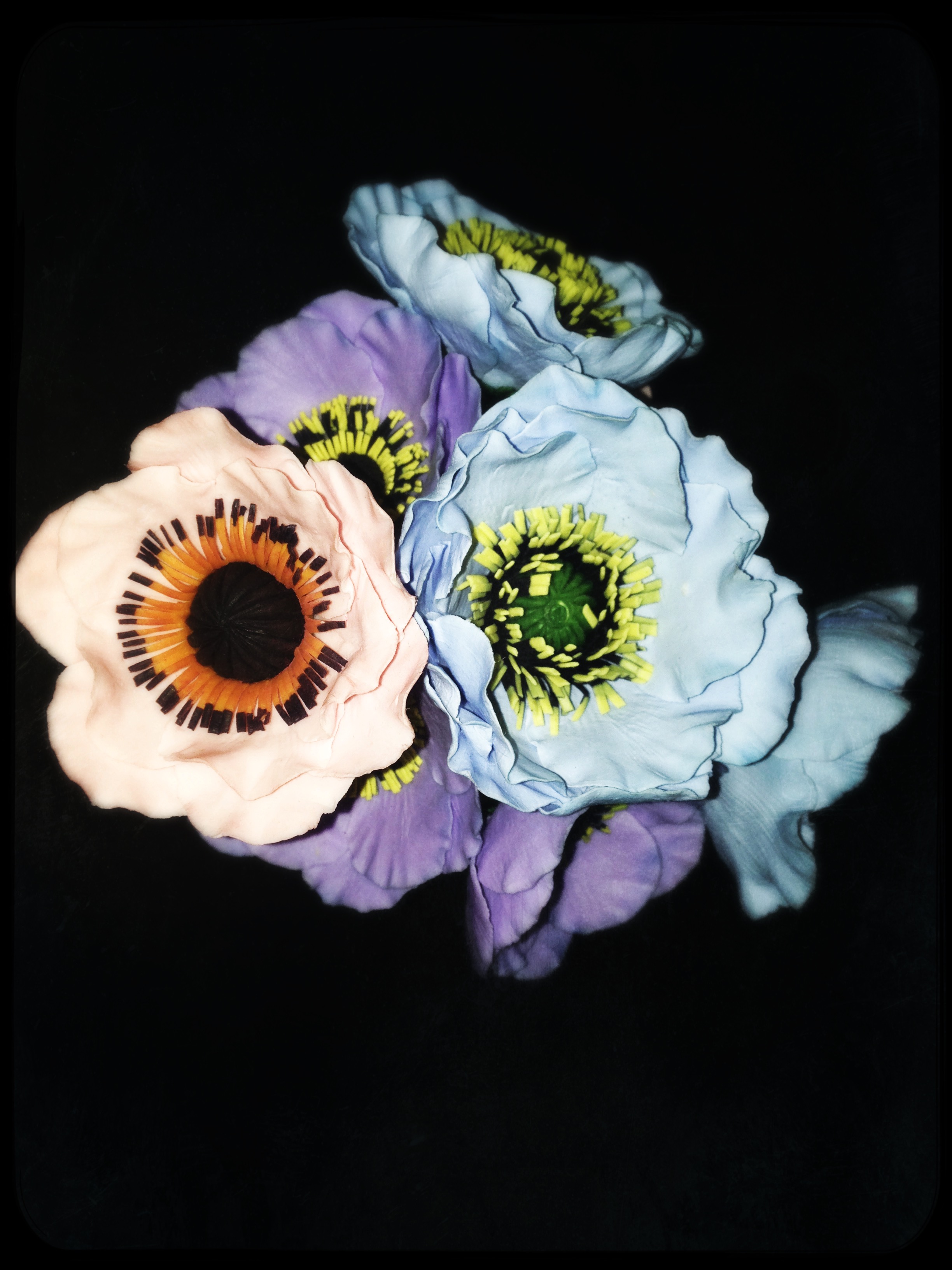 Цветы из холодного фарфора -  анемоны. Фото №2